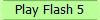 Play Flash 5